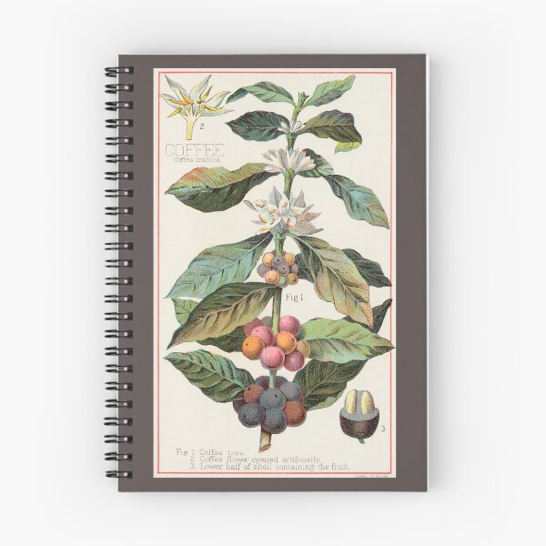 Item preview, Vintage Botanical Illustration of Coffee Plant designed and sold by newnouveau.