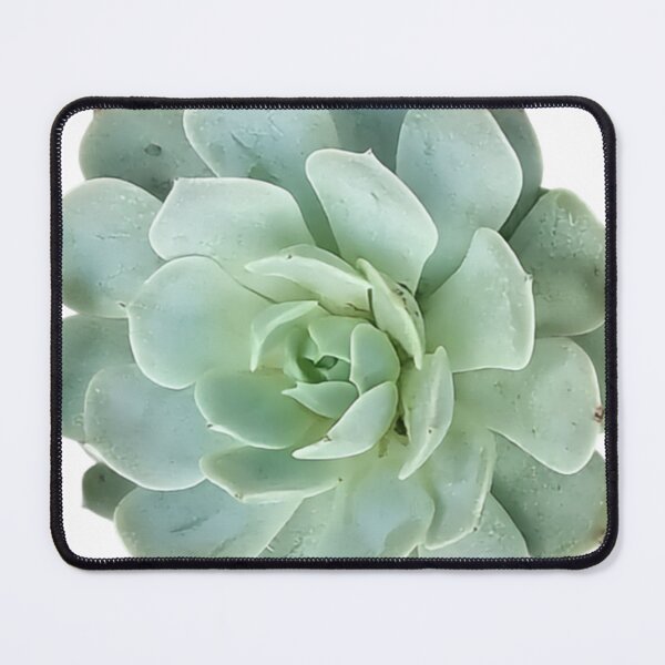 Item preview, Succulent designed and sold by phxzone.