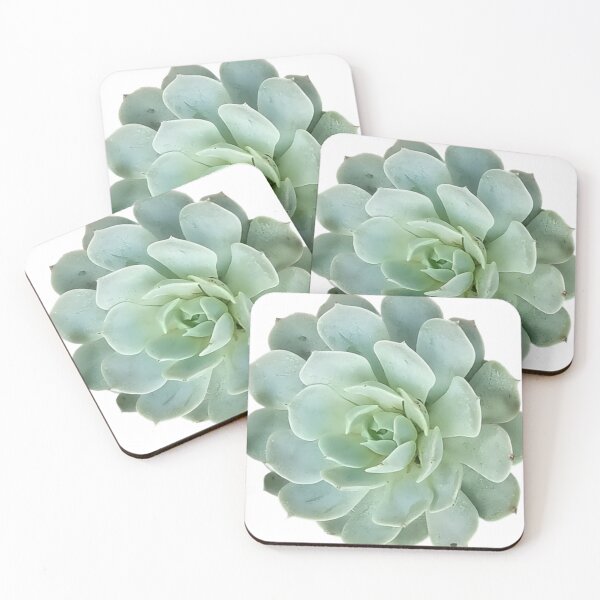 Item preview, Succulent designed and sold by phxzone.