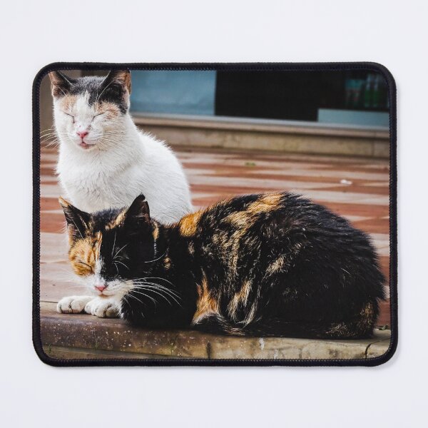 Item preview, Street cats of Crete – Greek cats taking a break from the sun designed and sold by Tammigrafie.