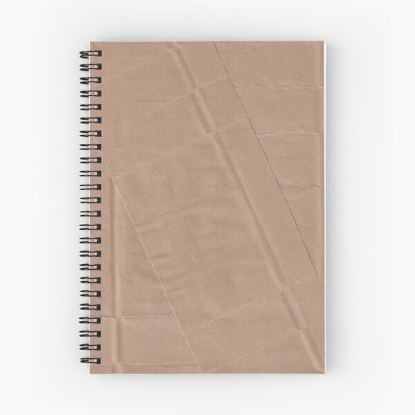 Item preview, literally just a paper bag designed and sold by TLCD.