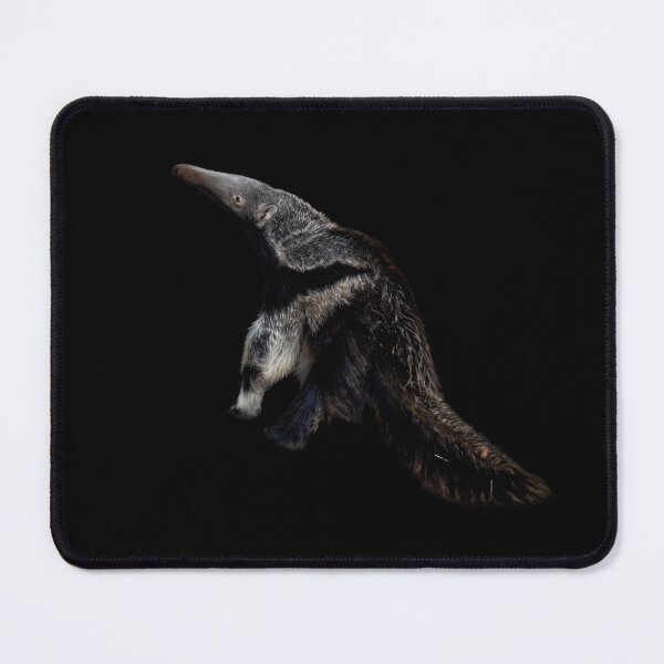 Item preview, Cute Giant Anteater baby designed and sold by Guardi71.