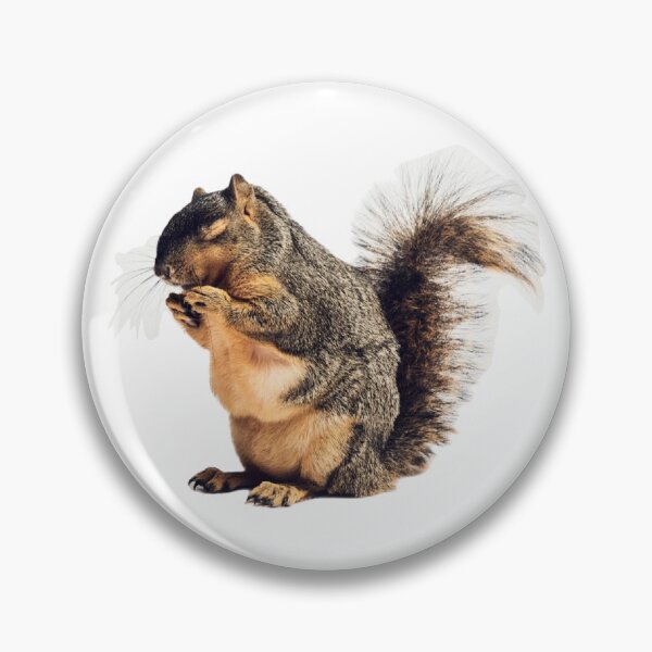 Item preview, Zuzu Squirrel 2 designed and sold by 4 Rescued Exotics.