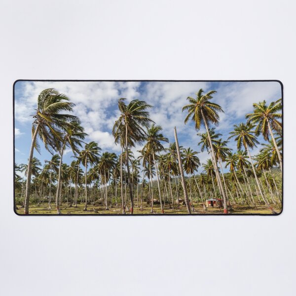 Item preview, Tropical palm grove under a blue sky – Caribbean landscape with coconut palms designed and sold by Nicole Bleck.