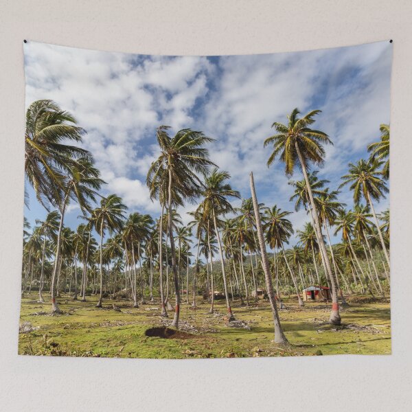Item preview, Tropical palm grove under a blue sky – Caribbean landscape with coconut palms designed and sold by Nicole Bleck.