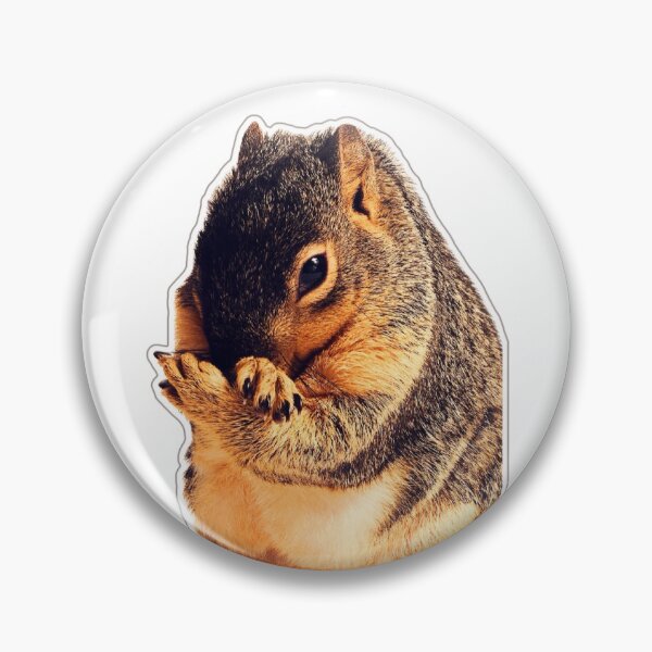 Item preview, Zuzu Squirrel 3 designed and sold by 4 Rescued Exotics.