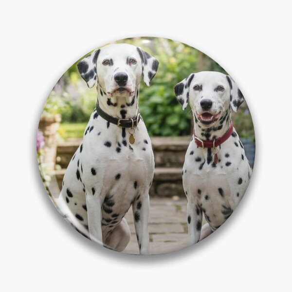 Item preview, Couple of Dalmatians designed and sold by Stevercortinas.