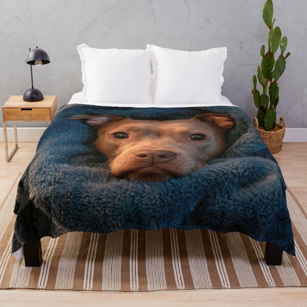 Item preview, Pitbull in Blanket 01 designed and sold by Elisabeth Lucas.