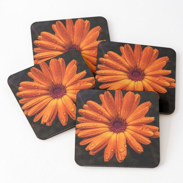 Item preview, Bright orange marigold – macro flower with raindrops designed and sold by Tammigrafie.
