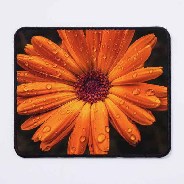 Item preview, Bright orange marigold – macro flower with raindrops designed and sold by Tammigrafie.