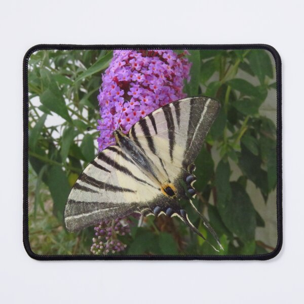 Item preview, Swallowtail Butterfly designed and sold by wiggyofipswich.