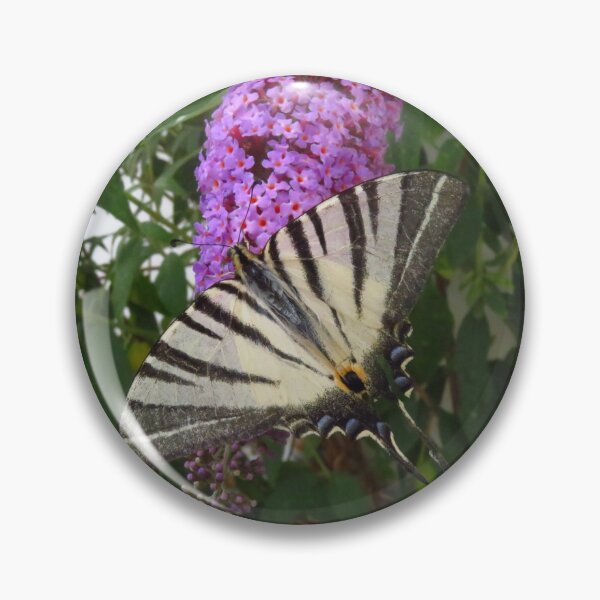 Item preview, Swallowtail Butterfly designed and sold by wiggyofipswich.