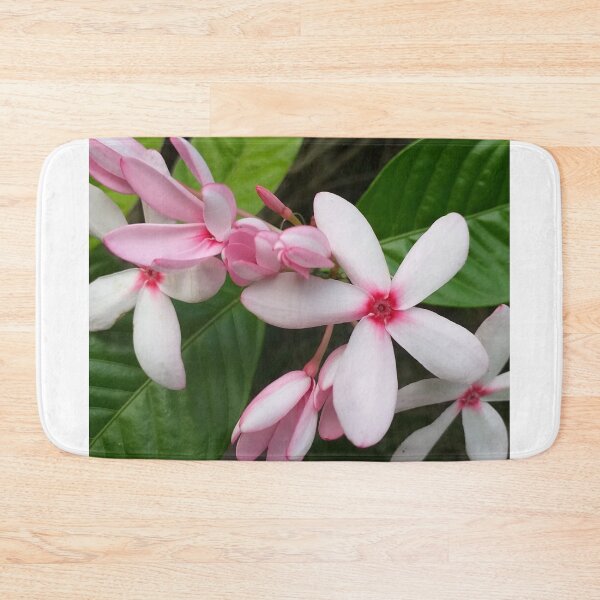 Item preview, Pink Kopsia Fruticosa Flower Shrub Vinca designed and sold by Luxxe87.