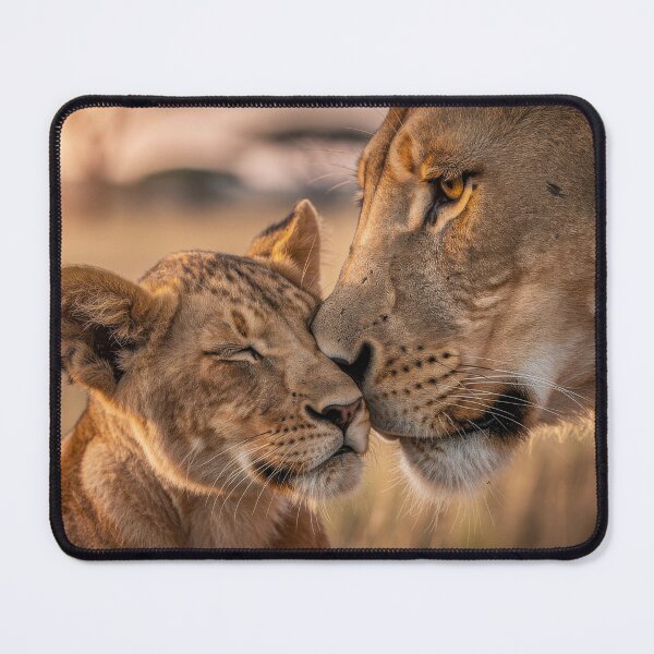 Item preview, Lion Mother and Cub Cuddling at Sunset – Heartwarming Wildlife Photography designed and sold by LazyOwlStore.
