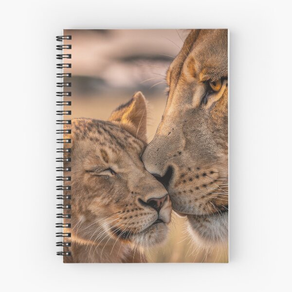 Item preview, Lion Mother and Cub Cuddling at Sunset – Heartwarming Wildlife Photography designed and sold by LazyOwlStore.