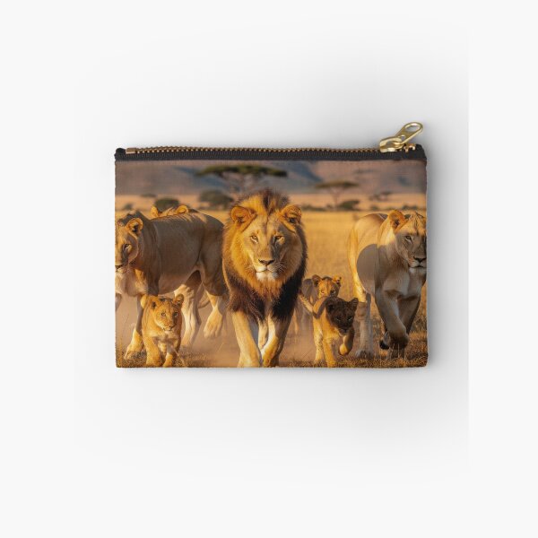 Item preview, African Lion Pride Walking Across Golden Savanna – Majestic Wildlife Photography designed and sold by LazyOwlStore.