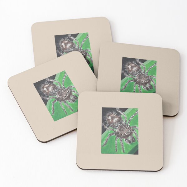 Item preview, Resting Jumping Spider Art Prints Posters Wall Art Magnet Home Coffee Cup Decoration TShirt Stationary Notebook Magnet Hat Kitchen Work School Office Redbubble Shop designed and sold by Saritas Boutique Shop.