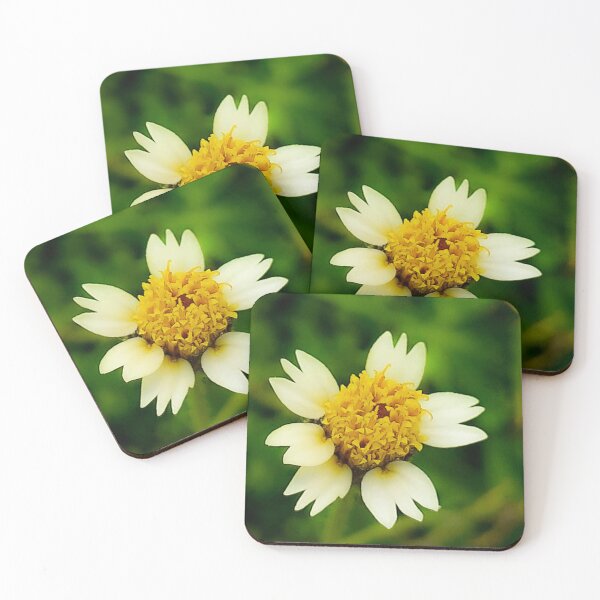 Item preview, Tridax Procumbens Coatbuttons Flower Close Up designed and sold by Luxxe87.
