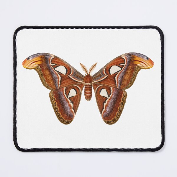 Item preview, Giant Cecropia Moth designed and sold by Chaoscience.