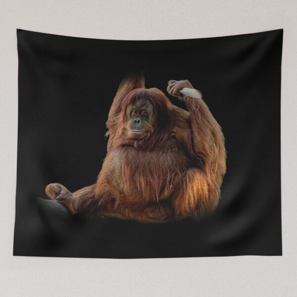 Item preview, Orangutan designed and sold by Guardi71.