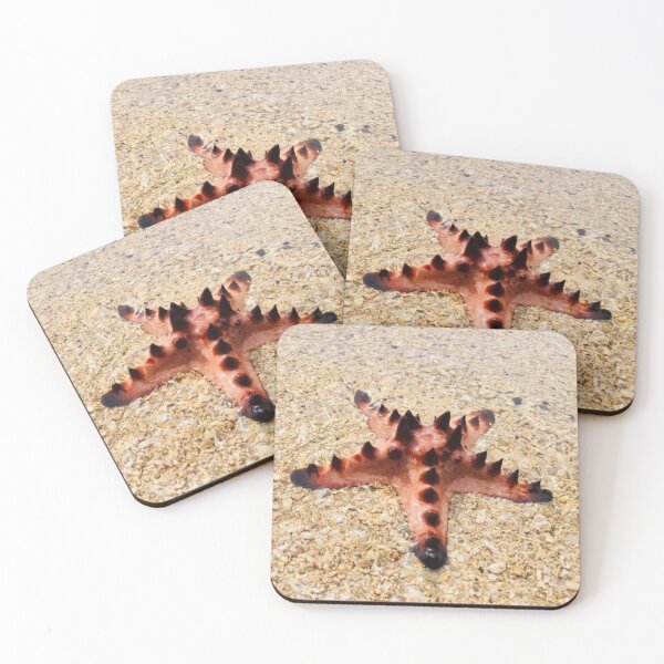 Item preview, Horned Chocolate Chip Starfish Clear Shallows designed and sold by Luxxe87.