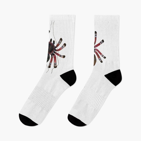Item preview, Aesthetic Watercolor Tarantula Spider  designed and sold by OrPolly.