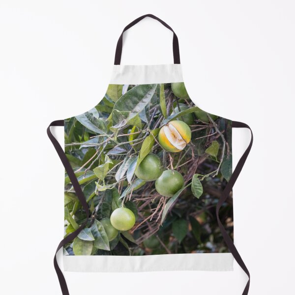 Item preview, Unripe Green Oranges on Citrus Tree With One Partially Split Ripe Fruit and Lush Leaves designed and sold by Nmallia.