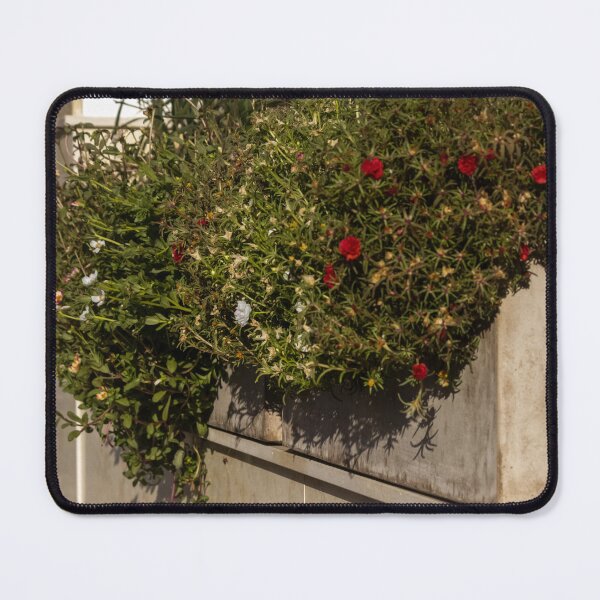 Item preview, Sunlit Window Box Planter With Red Flowers On Stone Ledge Outside Urban Building designed and sold by Nmallia.