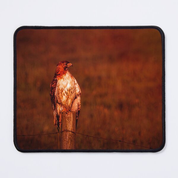 Item preview, Perched Majestic designed and sold by Jim Love.