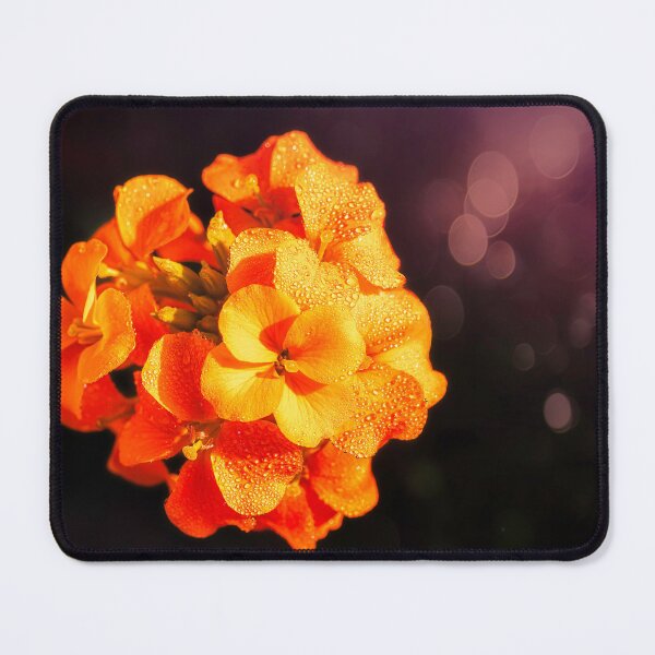 Item preview, Dewdrop Orange designed and sold by Jim Love.