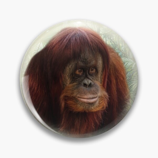 Item preview, Orangutan designed and sold by Guardi71.