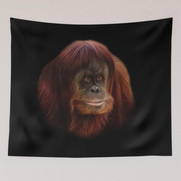 Item preview, Orangutan designed and sold by Guardi71.
