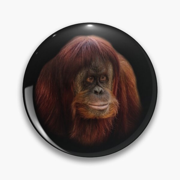 Item preview, Orangutan designed and sold by Guardi71.