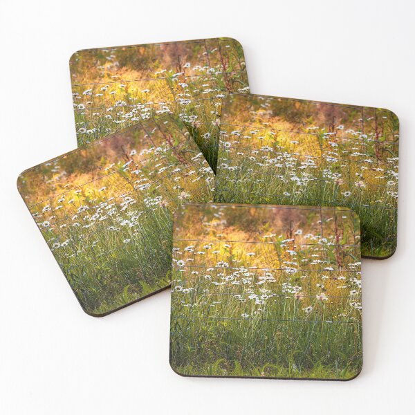 Item preview, Late Summer Daisies And Early Autumn Weeds designed and sold by Jim Love.