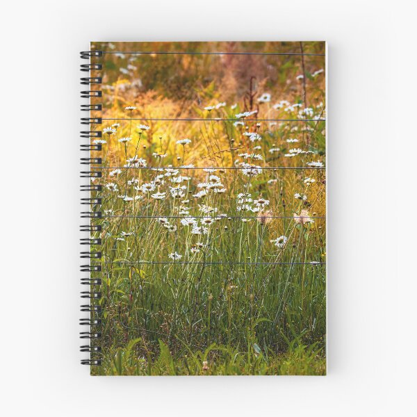 Item preview, Late Summer Daisies And Early Autumn Weeds designed and sold by Jim Love.