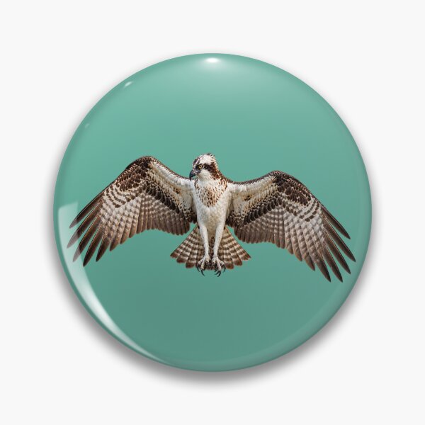 Item preview, Osprey settling in designed and sold by GAWPAWshop.