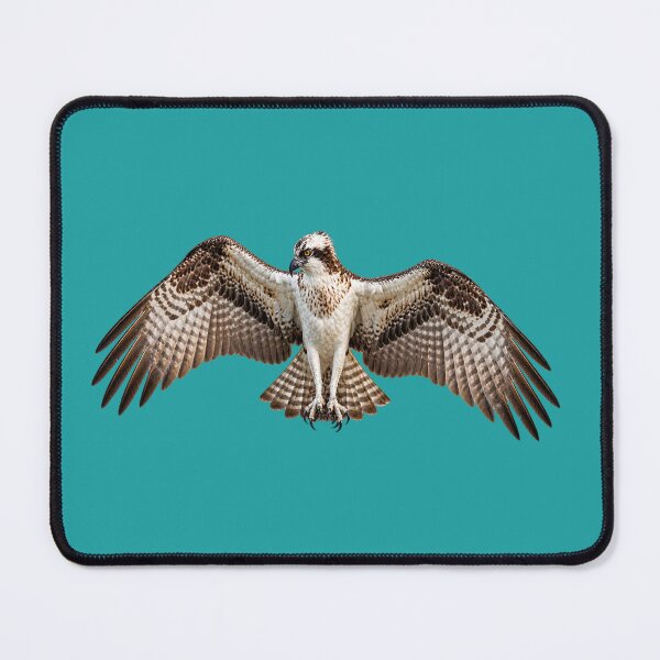 Item preview, Osprey settling in designed and sold by GAWPAWshop.