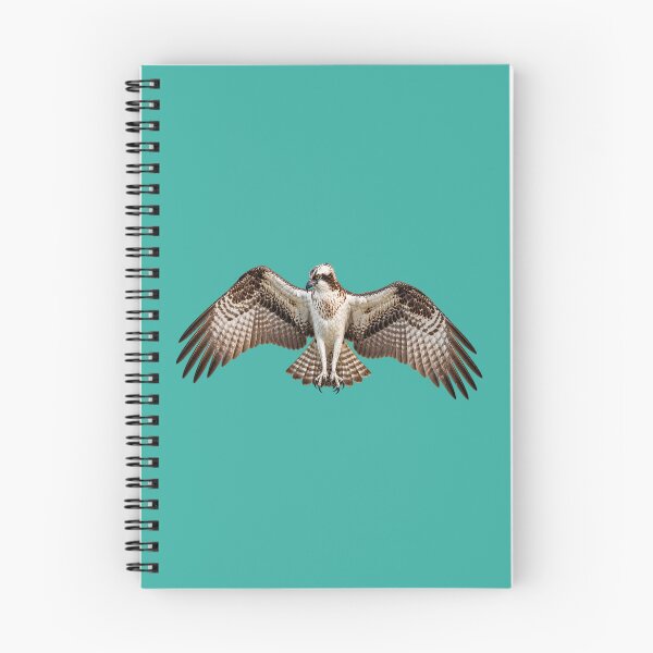 Item preview, Osprey settling in designed and sold by GAWPAWshop.