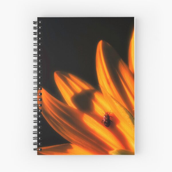 Aperçu de l'œuvre Petite créature sur un tournesol créée et vendue par Jim Love.