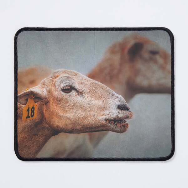 Item preview, Fogbound Flock designed and sold by Jim Love.