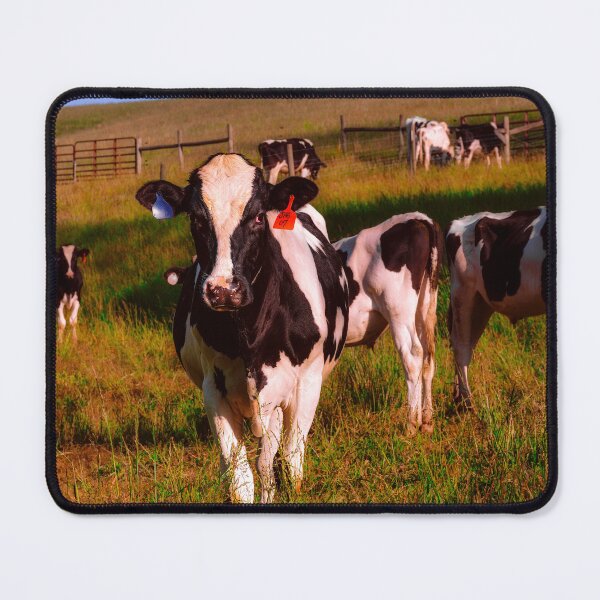 Item preview, Some Of My Favorite Neighbors designed and sold by Jim Love.