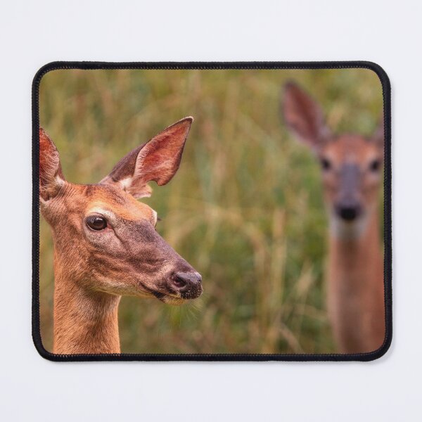 Item preview, Gentle Souls designed and sold by Jim Love.