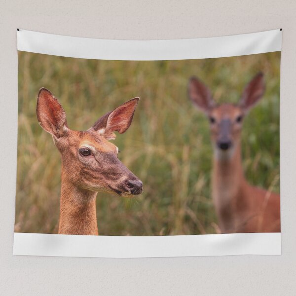 Item preview, Gentle Souls designed and sold by Jim Love.