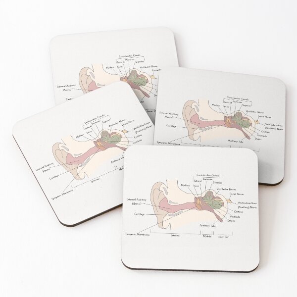 Item preview, Ear Anatomy designed and sold by PoppyandSage.
