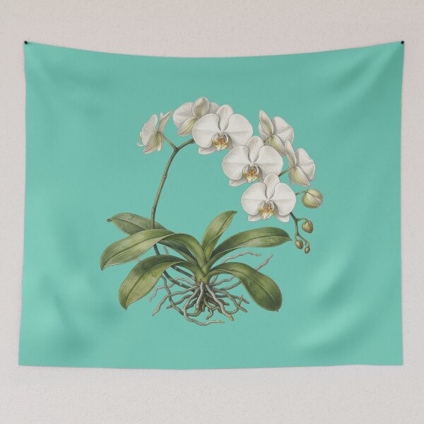 Item preview, Phalaenopsis Amabilis Print: Moth Orchid Delirium designed and sold by FreiherrPK.