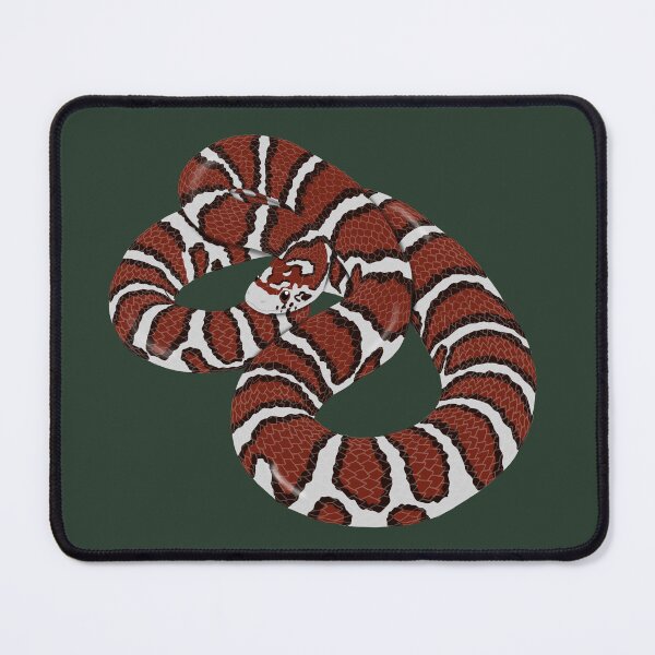 Item preview, Eastern Milk Snake/ Checkered Adder designed and sold by BDBirds.