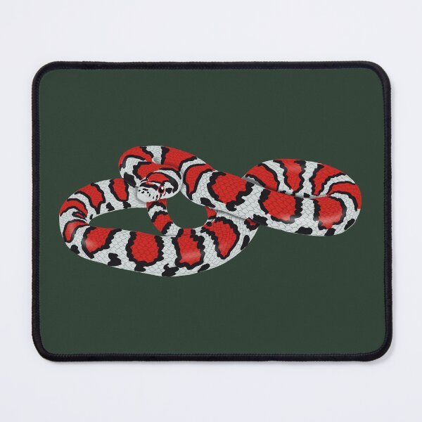 Item preview, Eastern Milk Snake/ Thunder-and-Lightning Snake designed and sold by BDBirds.