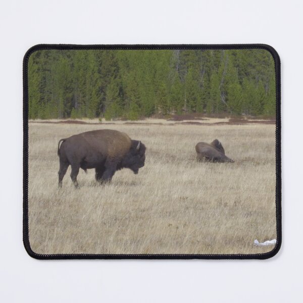 Item preview, Bison Of Yellowstone designed and sold by auswar.