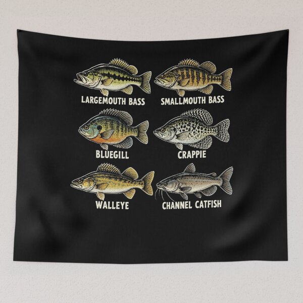 Item preview, Largemouth Bass Smallmouth Bass Bluegill Crappie Walleye Channel Catfish Freshwater Fishing Species Angler Identification designed and sold by FolkGraphics.