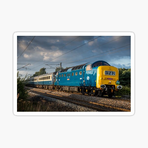 D9009 Alycidon Sticker
